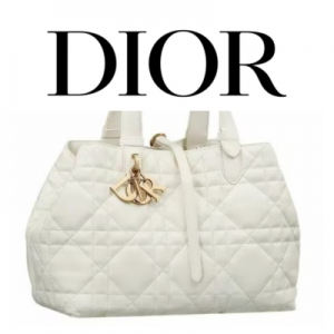 Dior Toujours 라지 백
