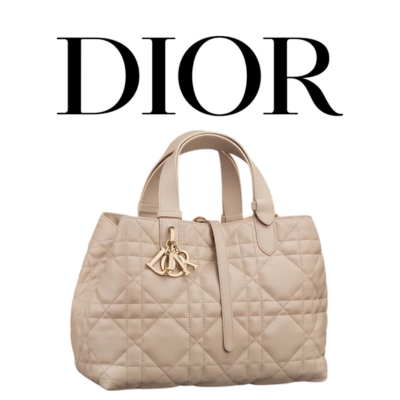 DIOR Toujours 미디엄 백