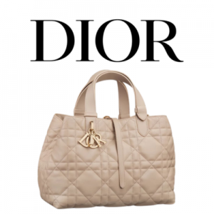 DIOR Toujours 미디엄 백