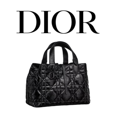 DIOR Toujours 오일드 레더 스몰 백