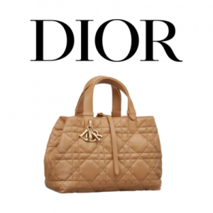 DIOR Toujours 스몰 백