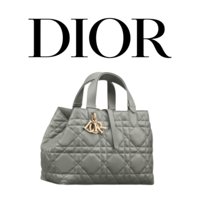 DIOR Toujours 스몰 백