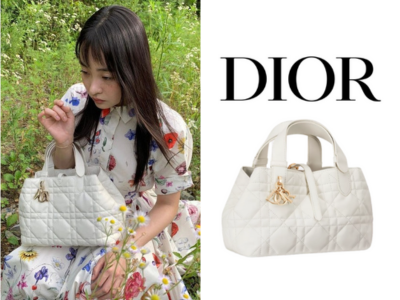 DIOR Toujours 스몰 백