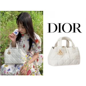 DIOR Toujours 스몰 백