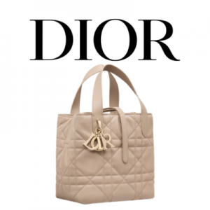 DIOR Toujours 미디엄 버티컬 토트백