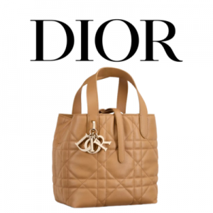 DIOR Toujours 미디엄 버티컬 토트백