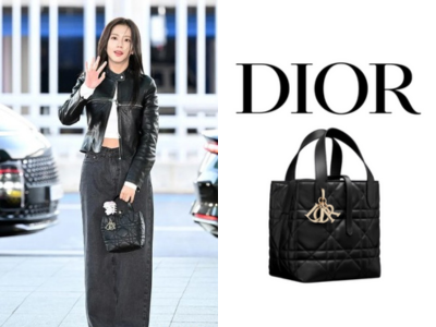 DIOR Toujours 스몰 버티컬 토트백