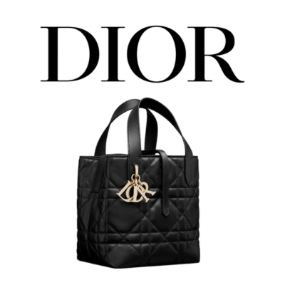 DIOR Toujours 스몰 버티컬 토트백