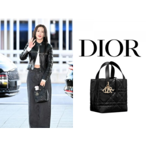 DIOR Toujours 스몰 버티컬 토트백