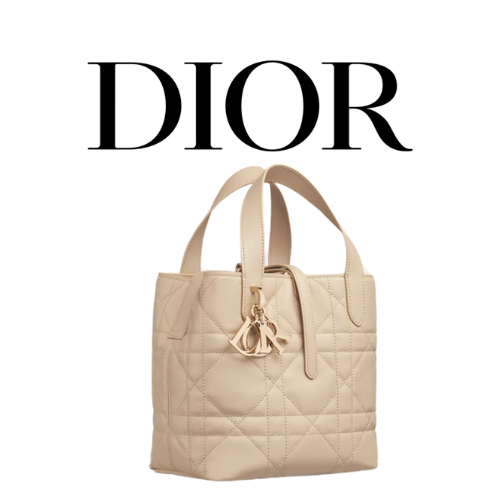 Dior Toujours 스몰 버티컬 토트백