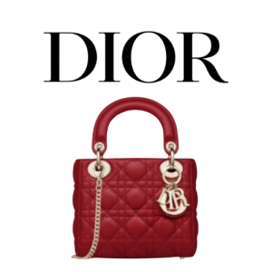 DIOR Lady Dior 미니백