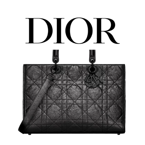 DIOR Lady D-Sire 라지 백