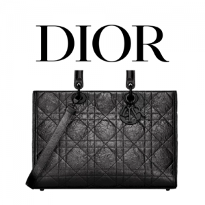 DIOR Lady D-Sire 라지 백