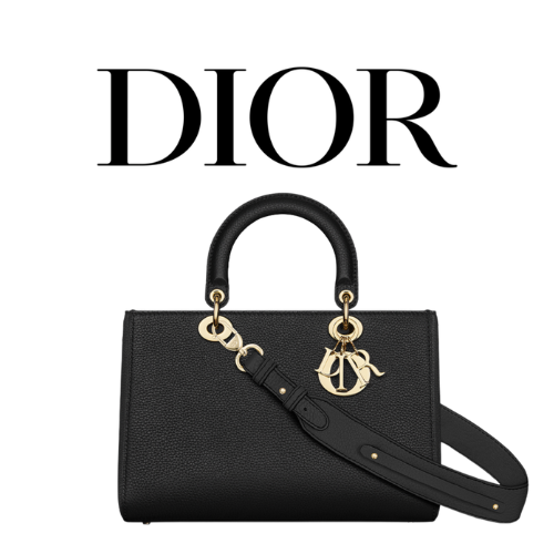 DIOR Lady D-Sire My ABCDior 미디엄 백