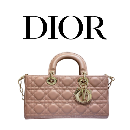 DIOR Lady D-Joy 미디엄 백