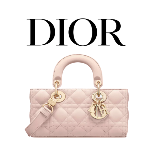 DIOR Lady D-Joy 스몰 백