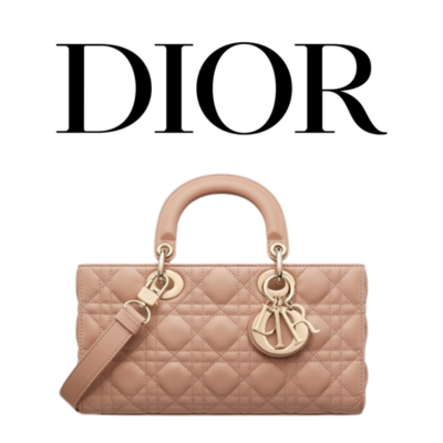 DIOR Lady D-Joy 스몰 백