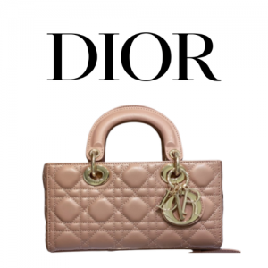 DIOR Lady D-Joy 스몰 백