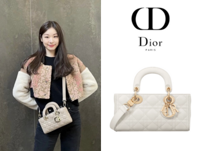 DIOR Lady D-Joy 스몰 백