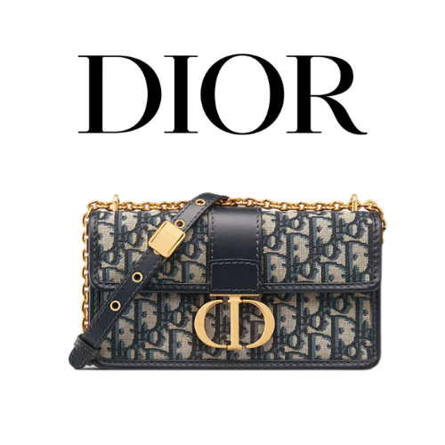 DIOR 30 Montaigne East-West 미니 체인 백