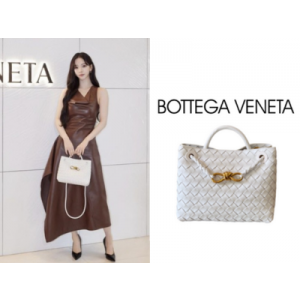 BOTTEGA VENETA 스몰 안디아모