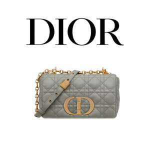 DIOR Caro 스몰 백