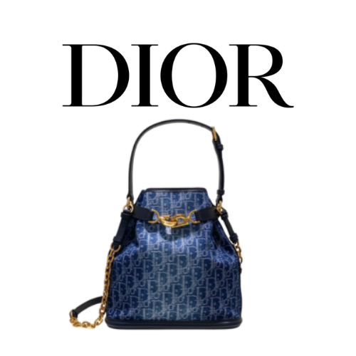 DIOR C'est Dior 미디엄 백