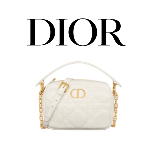 DIOR Caro 스몰 탑 핸들 카메라 백