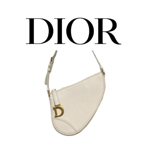 DIOR Saddle Rodeo 파우치