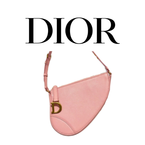 DIOR Saddle Rodeo 파우치