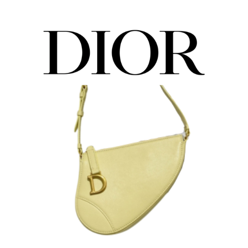 DIOR Saddle Rodeo 파우치
