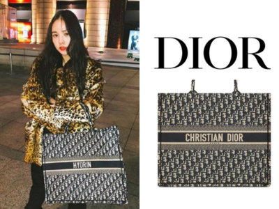 DIOR Book Tote 라지 백