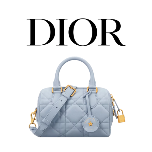 DIOR Groove 20 백