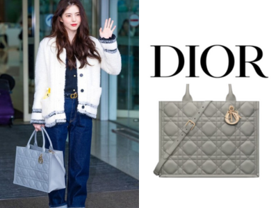DIOR Book Tote 미디엄 백