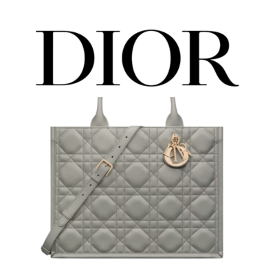 DIOR Book Tote 미디엄 백