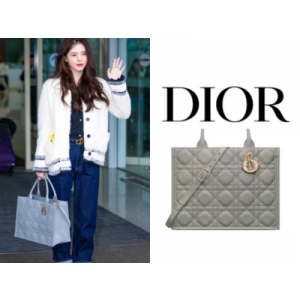 DIOR Book Tote 미디엄 백