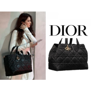 DIOR Toujours 라지 백