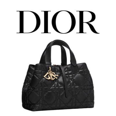DIOR Toujours 미디엄 백