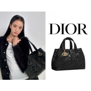 DIOR Toujours 미디엄 백