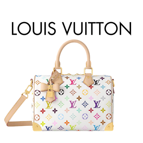 LOUIS VUITTON LV x TM 스피디 반둘리에 25