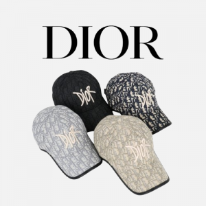 DIOR 오블리크 로고 자수 볼캡