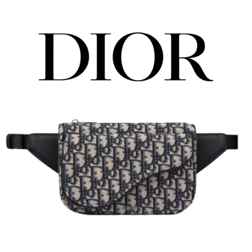 DIOR Saddle 벨트백