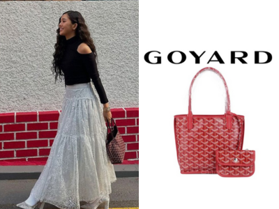 GOYARD 앙주백 미니