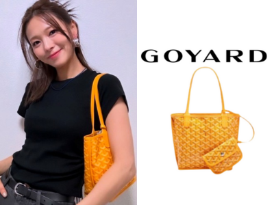 GOYARD 앙주백 미니