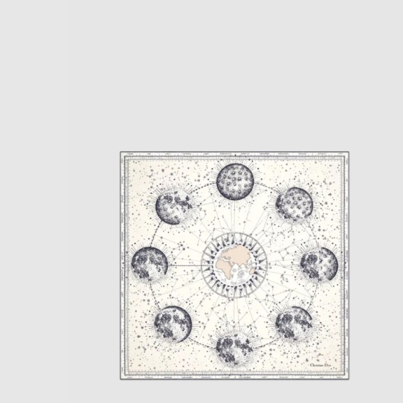 DIOR_양면 스카프_42LUN[2COLOR]