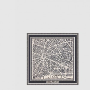 DIOR_실크 스퀘어 90 플랜드 파리_32PAR