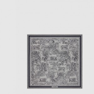 DIOR_TOILE DE JOUY 숄_14JOU