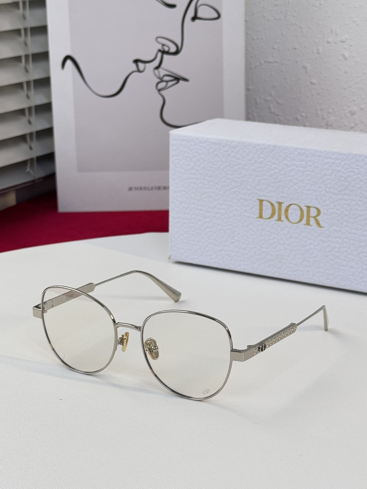 [2 COLOR] DIOR CANNAGE B1F