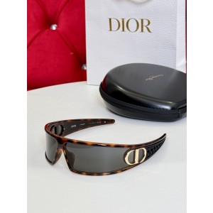 DIOR VERYDIOR M1U