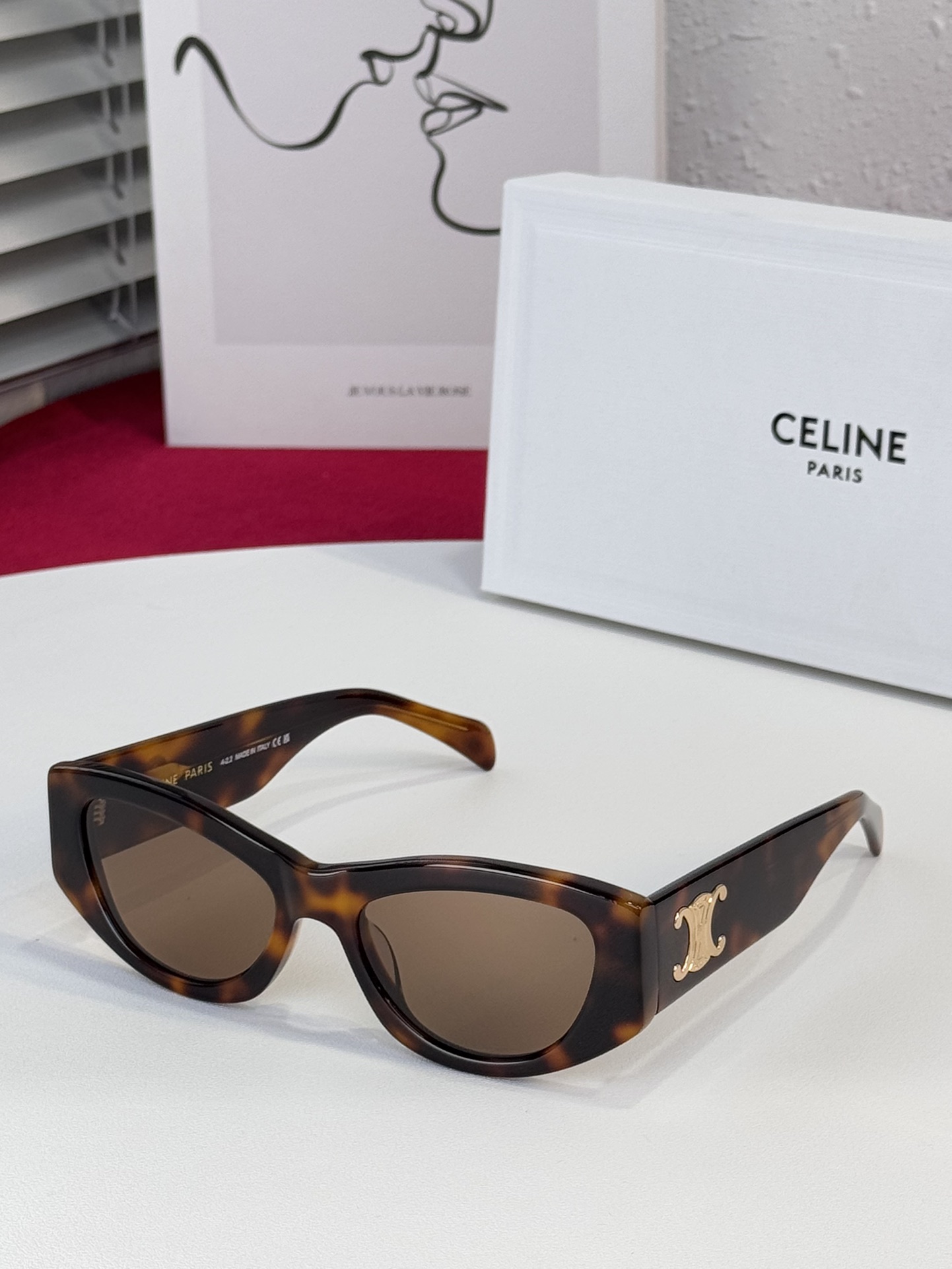 CELINE CL4S308U Triomphe 15